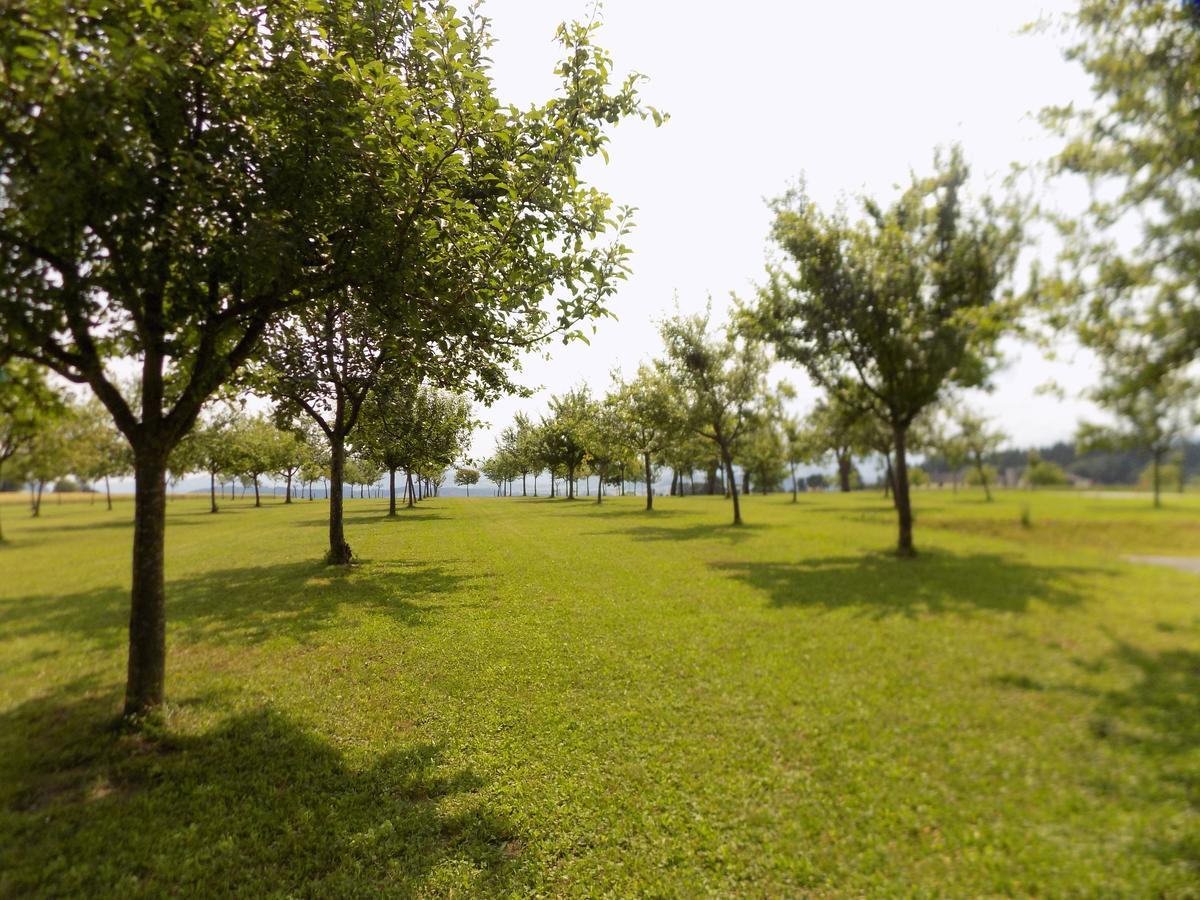 Mostlandhof Purgstall an der Erlauf Eksteriør bilde